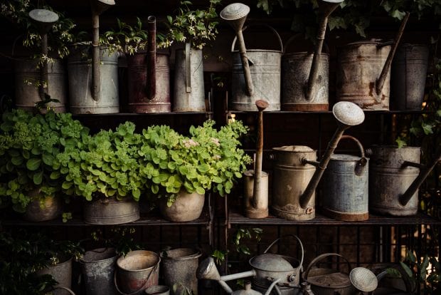 Ricevimento matrimonio Ristorante Càmp di Cènt Pertigh